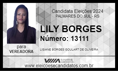 Candidato LILY BORGES 2024 - PALMARES DO SUL - Eleições