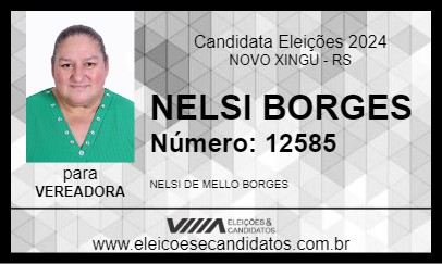 Candidato NELSI BORGES 2024 - NOVO XINGU - Eleições