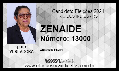 Candidato ZENAIDE 2024 - RIO DOS ÍNDIOS - Eleições