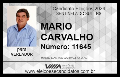 Candidato MARIO CARVALHO 2024 - SENTINELA DO SUL - Eleições