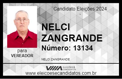 Candidato NELCI ZANGRANDE 2024 - PONTE PRETA - Eleições