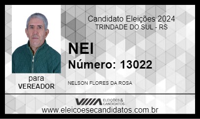 Candidato NEI 2024 - TRINDADE DO SUL - Eleições