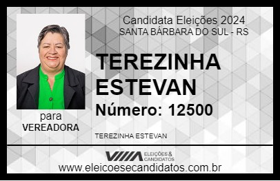 Candidato TEREZINHA ESTEVAN 2024 - SANTA BÁRBARA DO SUL - Eleições