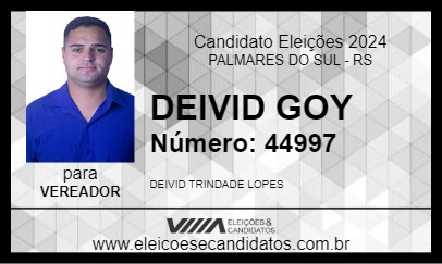 Candidato DEIVID GOY 2024 - PALMARES DO SUL - Eleições