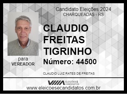 Candidato CLAUDIO FREITAS TIGRINHO 2024 - CHARQUEADAS - Eleições