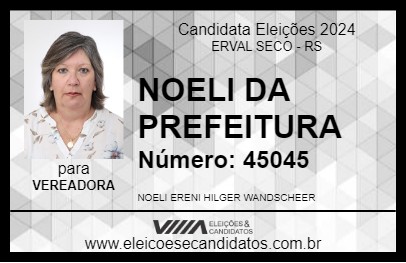 Candidato NOELI WANDSCHEER 2024 - ERVAL SECO - Eleições