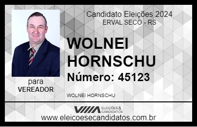 Candidato WOLNEI HORNSCHU 2024 - ERVAL SECO - Eleições