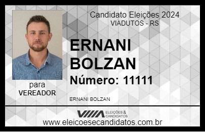 Candidato ERNANI BOLZAN 2024 - VIADUTOS - Eleições