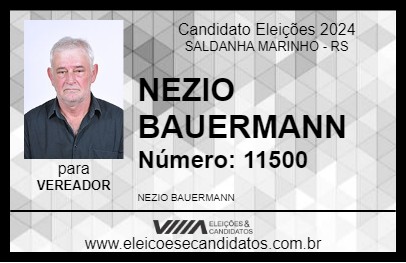 Candidato NEZIO BAUERMANN 2024 - SALDANHA MARINHO - Eleições