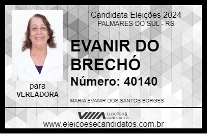 Candidato EVANIR DO BRECHÓ 2024 - PALMARES DO SUL - Eleições