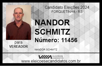 Candidato NANDOR SCHMITZ 2024 - FORQUETINHA - Eleições