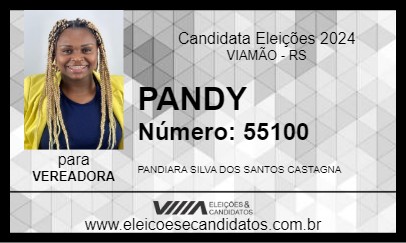 Candidato PANDY 2024 - VIAMÃO - Eleições