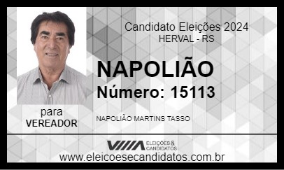 Candidato NAPOLIÃO 2024 - HERVAL - Eleições