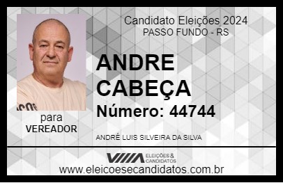 Candidato ANDRE CABEÇA 2024 - PASSO FUNDO - Eleições