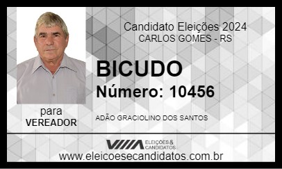 Candidato BICUDO 2024 - CARLOS GOMES - Eleições