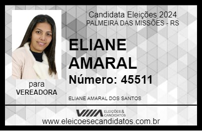 Candidato ELIANE AMARAL 2024 - PALMEIRA DAS MISSÕES - Eleições