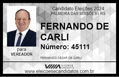 Candidato FERNANDO DE CARLI 2024 - PALMEIRA DAS MISSÕES - Eleições