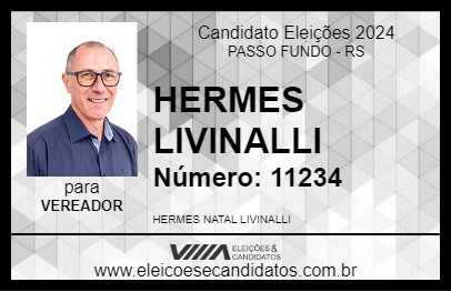 Candidato HERMES LIVINALLI 2024 - PASSO FUNDO - Eleições