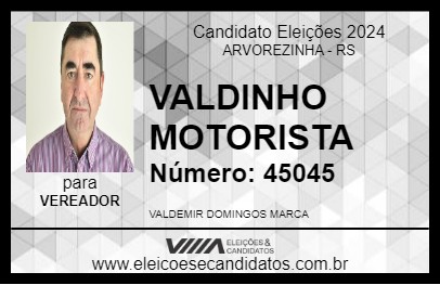 Candidato VALDINHO MOTORISTA 2024 - ARVOREZINHA - Eleições