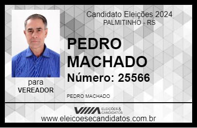 Candidato PEDRO MACHADO 2024 - PALMITINHO - Eleições