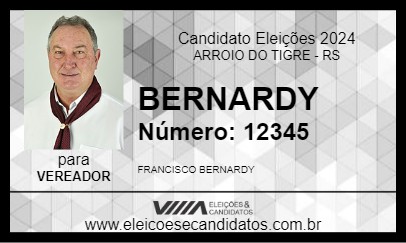 Candidato BERNARDY 2024 - ARROIO DO TIGRE - Eleições