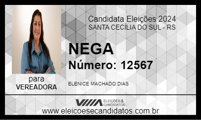 Candidato NEGA 2024 - SANTA CECÍLIA DO SUL - Eleições