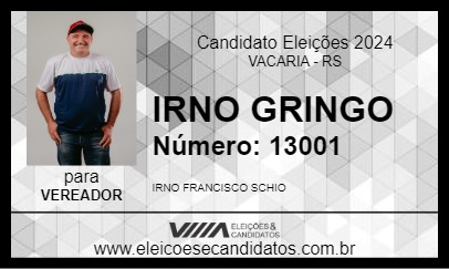 Candidato IRNO GRINGO 2024 - VACARIA - Eleições