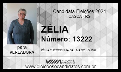 Candidato ZÉLIA 2024 - CASCA - Eleições