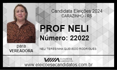 Candidato PROF NELI 2024 - CARAZINHO - Eleições