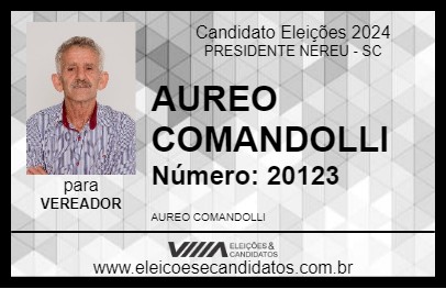 Candidato AUREO COMANDOLLI 2024 - PRESIDENTE NEREU - Eleições