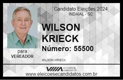 Candidato WILSON KRIECK 2024 - INDAIAL - Eleições