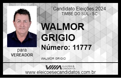 Candidato WALMOR GRIGIO 2024 - TIMBÉ DO SUL - Eleições