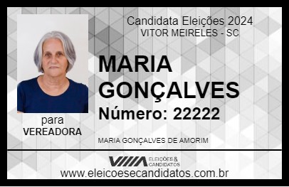 Candidato MARIA GONÇALVES 2024 - VITOR MEIRELES - Eleições