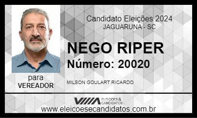 Candidato NEGO RIPER 2024 - JAGUARUNA - Eleições