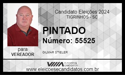 Candidato PINTADO 2024 - TIGRINHOS - Eleições