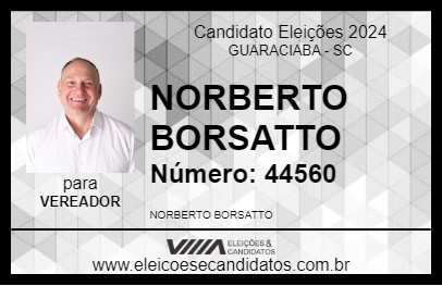 Candidato NORBERTO BORSATTO 2024 - GUARACIABA - Eleições