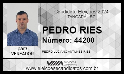 Candidato PEDRO RIES 2024 - TANGARÁ - Eleições