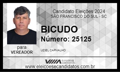 Candidato BICUDO 2024 - SÃO FRANCISCO DO SUL - Eleições