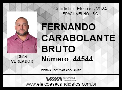 Candidato FERNANDO CARABOLANTE BRUTO 2024 - ERVAL VELHO - Eleições