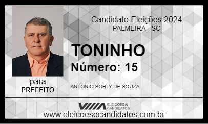 Candidato TONINHO 2024 - PALMEIRA - Eleições