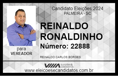 Candidato REINALDO RONALDINHO 2024 - PALMEIRA - Eleições