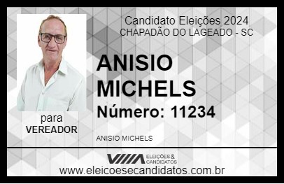 Candidato ANISIO MICHELS 2024 - CHAPADÃO DO LAGEADO - Eleições