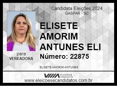 Candidato ELI AMORIM ANTUNES 2024 - GASPAR - Eleições