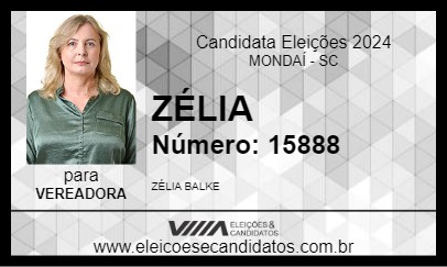 Candidato ZÉLIA 2024 - MONDAÍ - Eleições