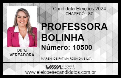 Candidato PROFESSORA BOLINHA 2024 - CHAPECÓ - Eleições