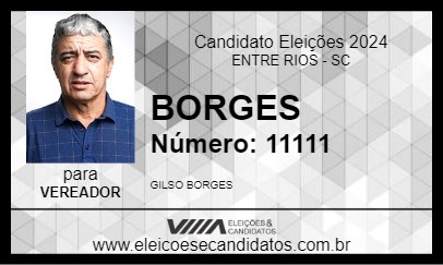 Candidato BORGES 2024 - ENTRE RIOS - Eleições