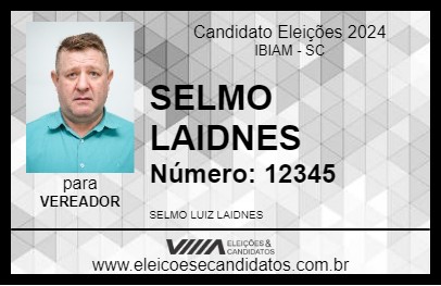 Candidato SELMO LAIDNES 2024 - IBIAM - Eleições