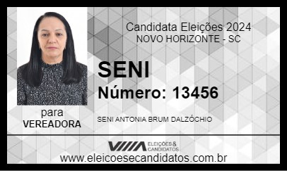 Candidato SENI 2024 - NOVO HORIZONTE - Eleições