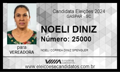 Candidato NOELI DINIZ 2024 - GASPAR - Eleições