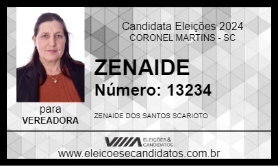 Candidato ZENAIDE 2024 - CORONEL MARTINS - Eleições